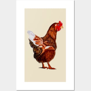 Chook. Posters and Art